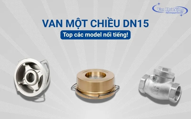 Top 5 loại van một chiều DN15 tốt nhất 2025!