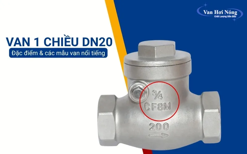 Van một chiều DN20: Đặc điểm và các mẫu van nổi tiếng