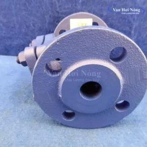 Van một chiều dạng chữ ngã DN40 hiệu KSB