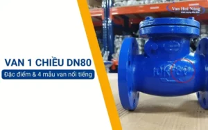 Van một chiều DN80: Cấu tạo, nguyên lý và 4 model nổi bật