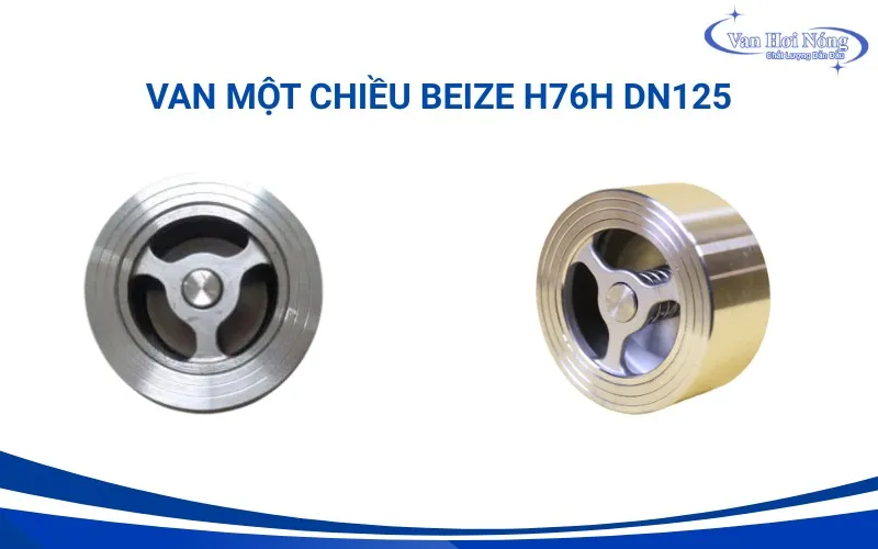 Van một chiều inox 304 DN125 Beize