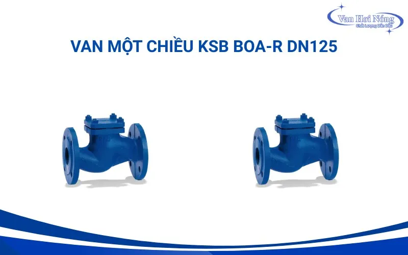 Van một chiều chữ ngã KSB BOA-R DN125