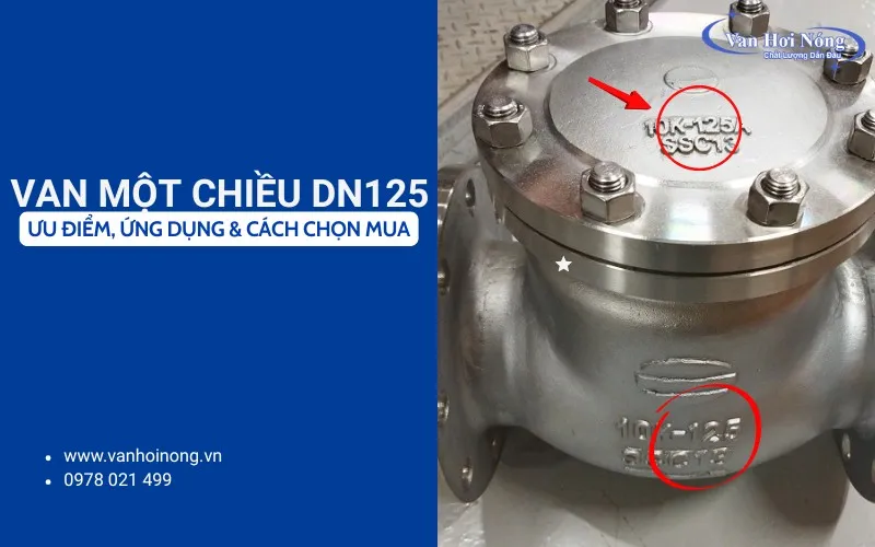 Van một chiều DN125 là gì? Ưu điểm, ứng dụng và cách chọn mua