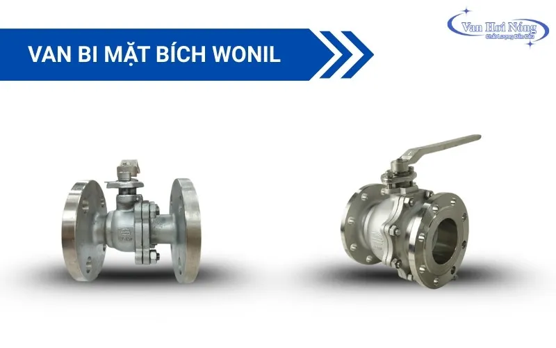 Van bi Hàn Quốc Wonil thiết kế mặt bích