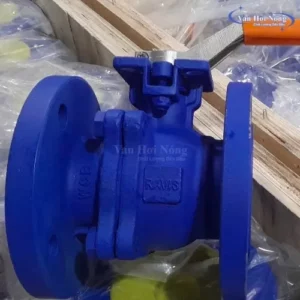 Van bi thép mặt bích hiệu Ravis