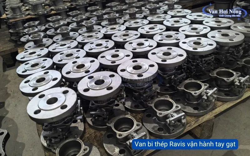 Van bi tay gạt Ravis được làm từ thép WCB cho khả năng chịu nhiệt lớn