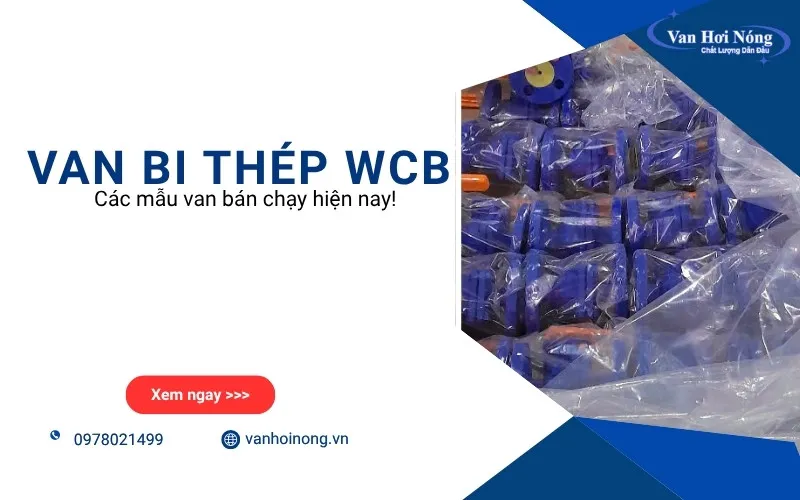 Van bi thép WCB là gì? Cấu tạo, ưu điểm và ứng dụng thực tế